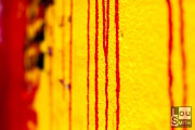 Fine Art Photography