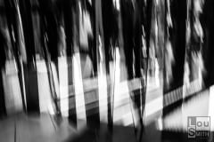 Abstract Photography