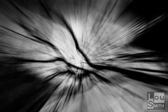 Abstract Photography