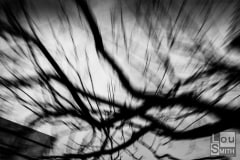 Abstract Photography