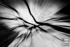 Abstract Photography