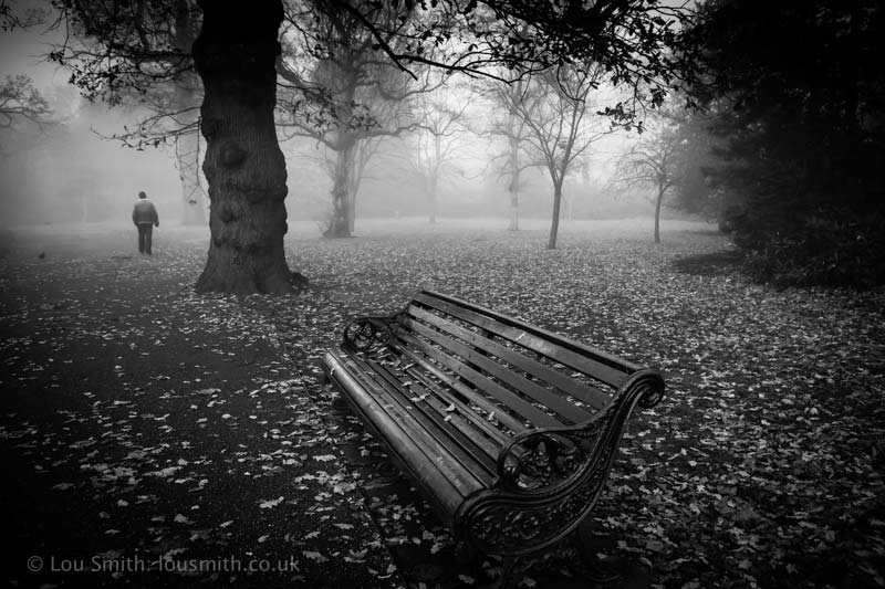 Autumn Mist