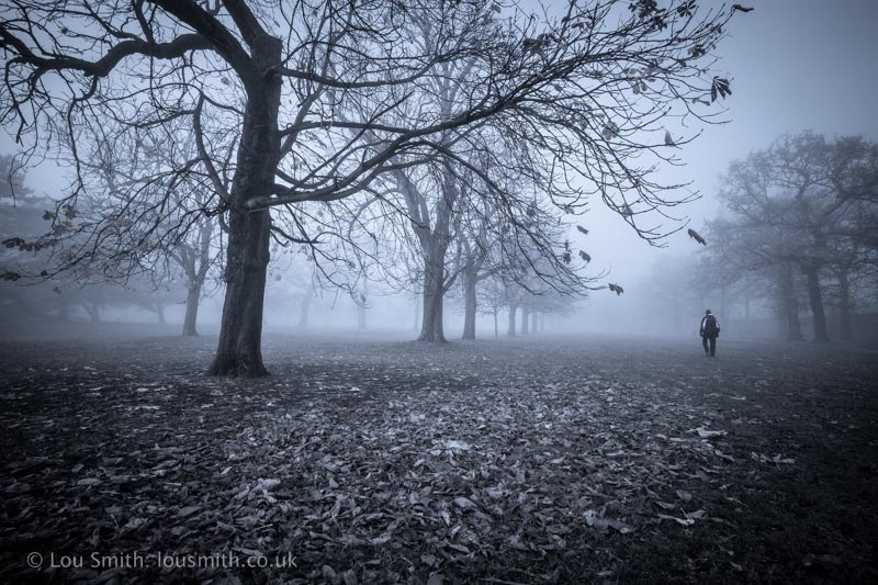 Autumn in Greenwich Park
