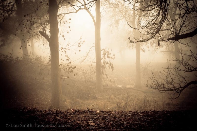 Autumn in Greenwich Park