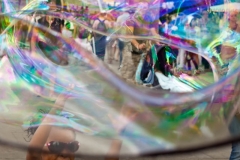 Chasing the Bubble