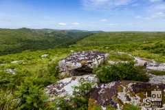 Combestone Tor