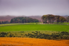 Misty Autumn Day in Dartmoor