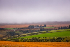 Misty Autumn Day in Dartmoor