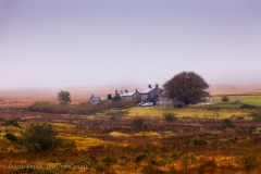 Dartmoor Landscape Photography