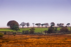 Dartmoor Landscape Photography