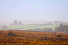 Dartmoor Mist