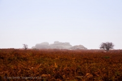 Dartmoor Tor