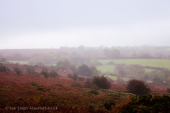Dartmoor Landscape Autumn Colours