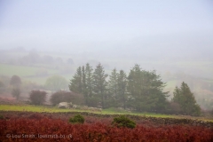 Dartmoor Landscape Photography