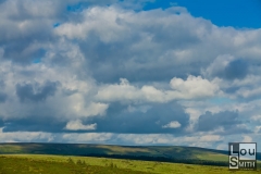 Hartland Tor View