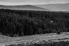 Dartmoor National Park Devon