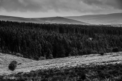 Dartmoor Landscape Photography
