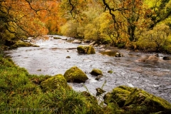 Dartmoor River