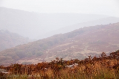 Dartmoor Tors in Mist