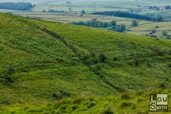Dartmoor Landscape