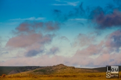 View from Cox Tor