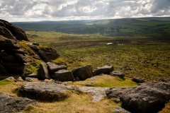 View from Haytor