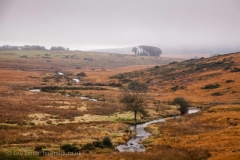 Mist over Dartmoor National Park