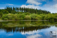 Fensworthy Reservoir