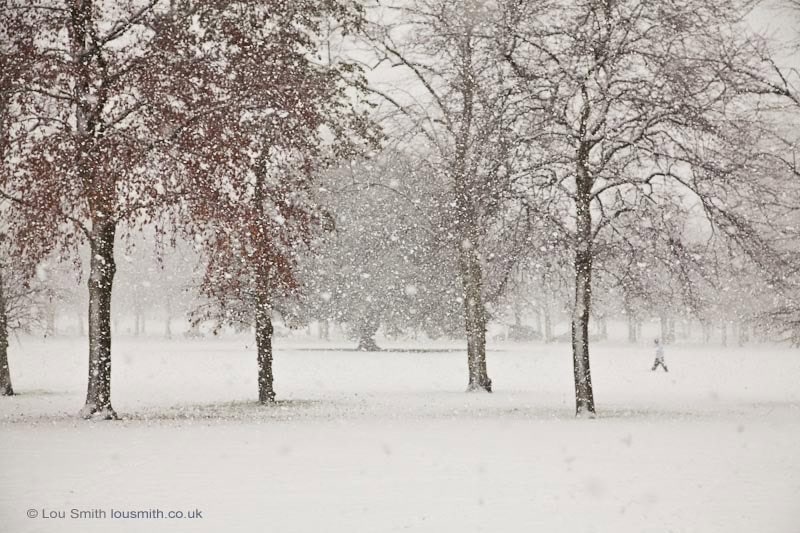 Greenwich Park in the Snow