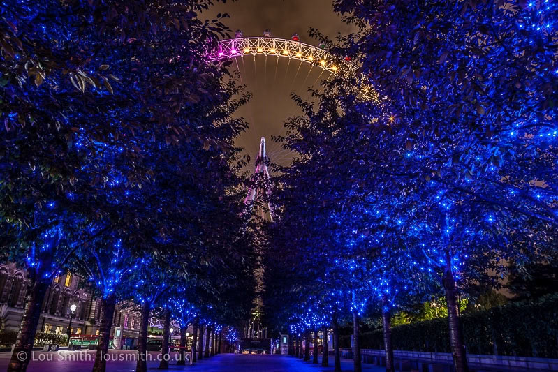 Vista of Trees with the London Eye at Night