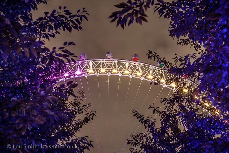 The London Eye Peeping Through the Trees