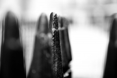 Black and White Abstract Photography