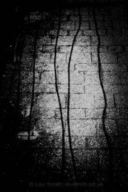 Abstract Shadows and Light