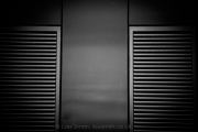Fine Arts Photography