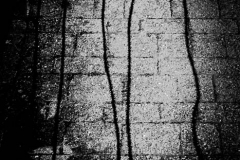 Abstract Shadows and Light