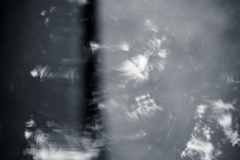 Abstract Photography