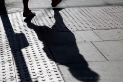 Shadows on the Pavement