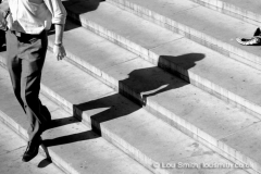 Shadows in the Street