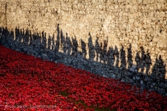 Shadows at the Tower of London