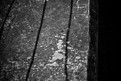 Shadows and Light
