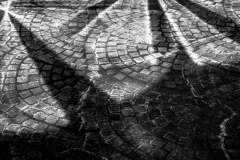 Mosaic Shadows