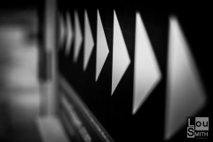 Black and White Pointers