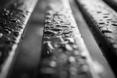 The Curve of the Shadowed Bench