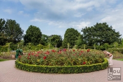St Mary's Rose Garden Regent Park London